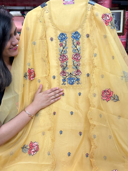 Embroidered Organza Silk Suit